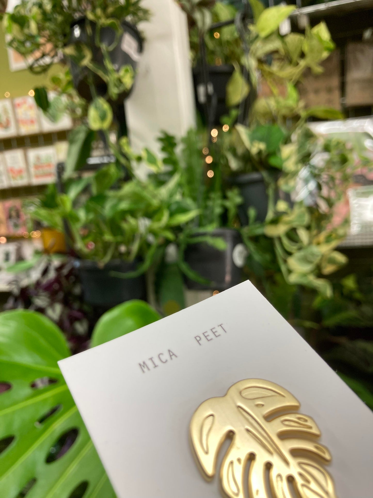 Monstera Enamel Pin