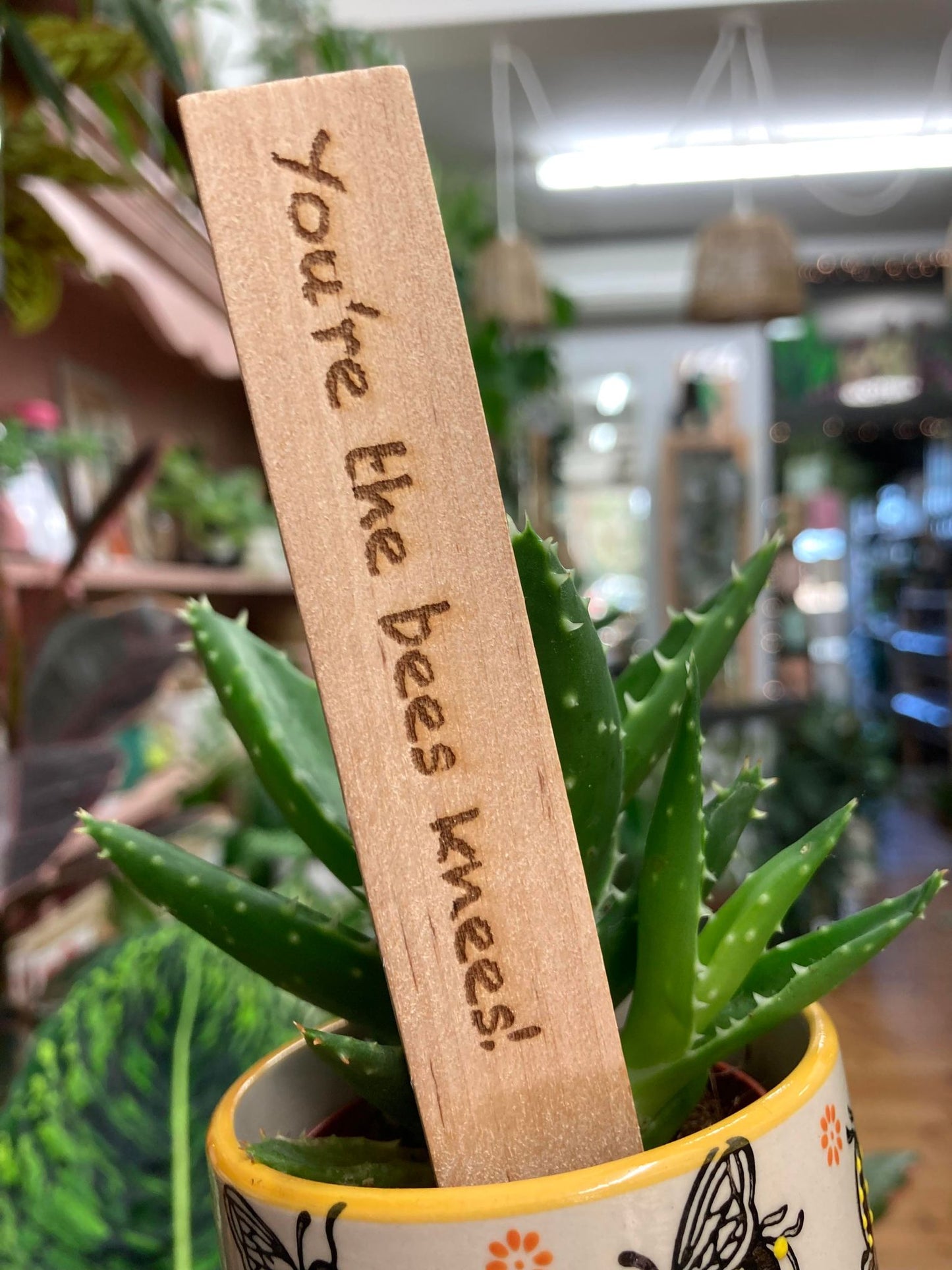 Plant Labels