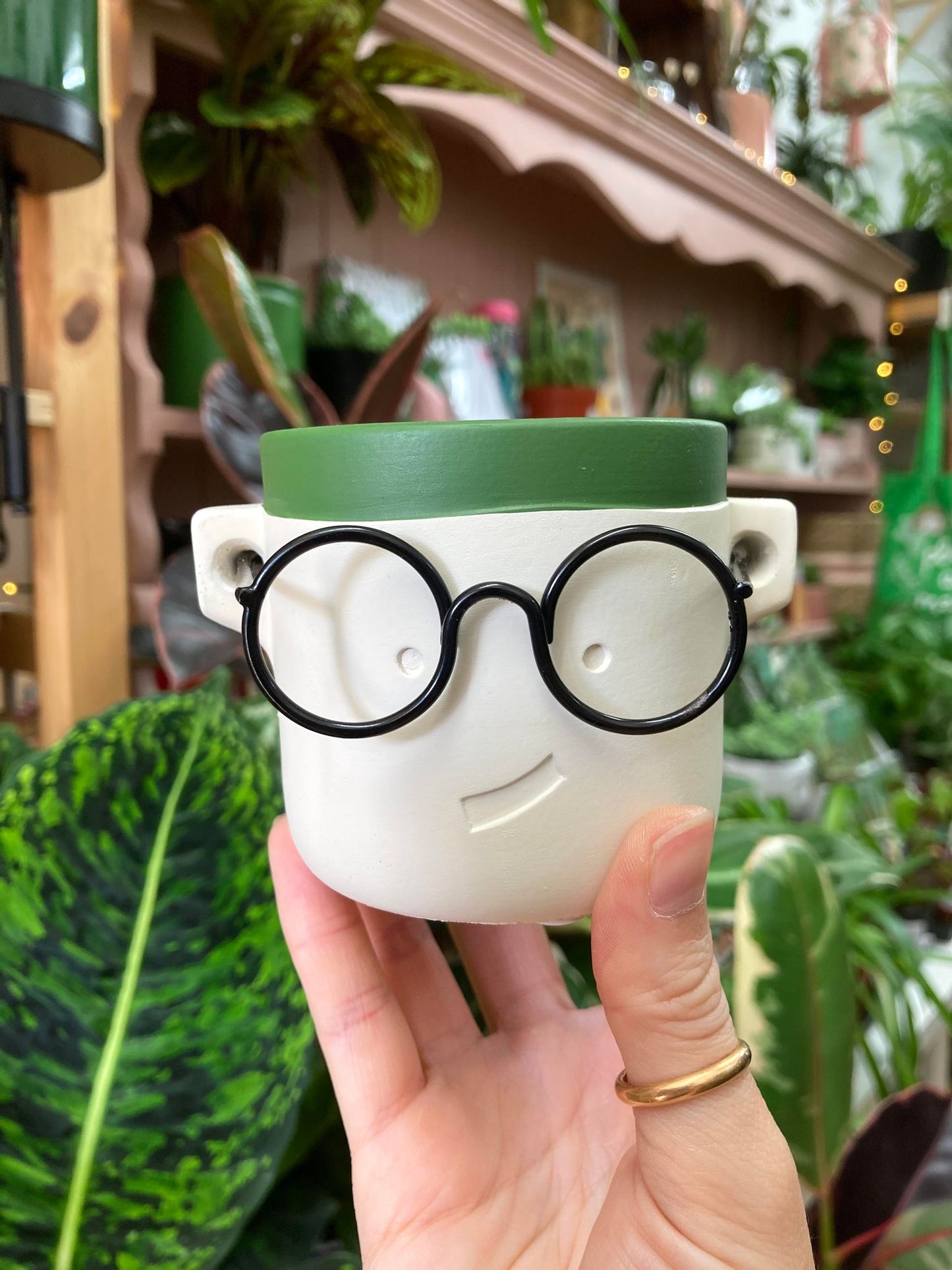 Mini 'Harry' Plant Pot