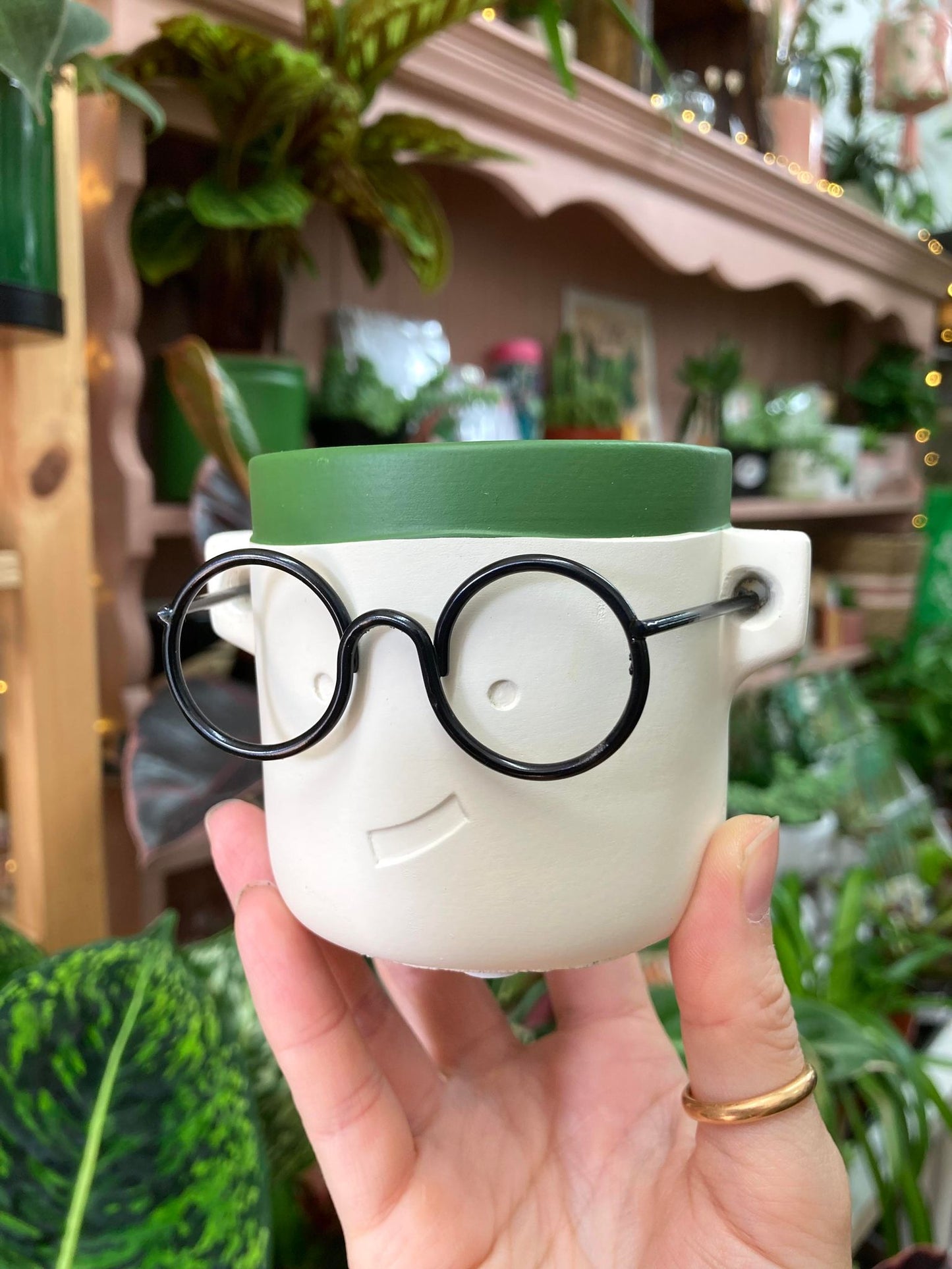 Mini 'Harry' Plant Pot