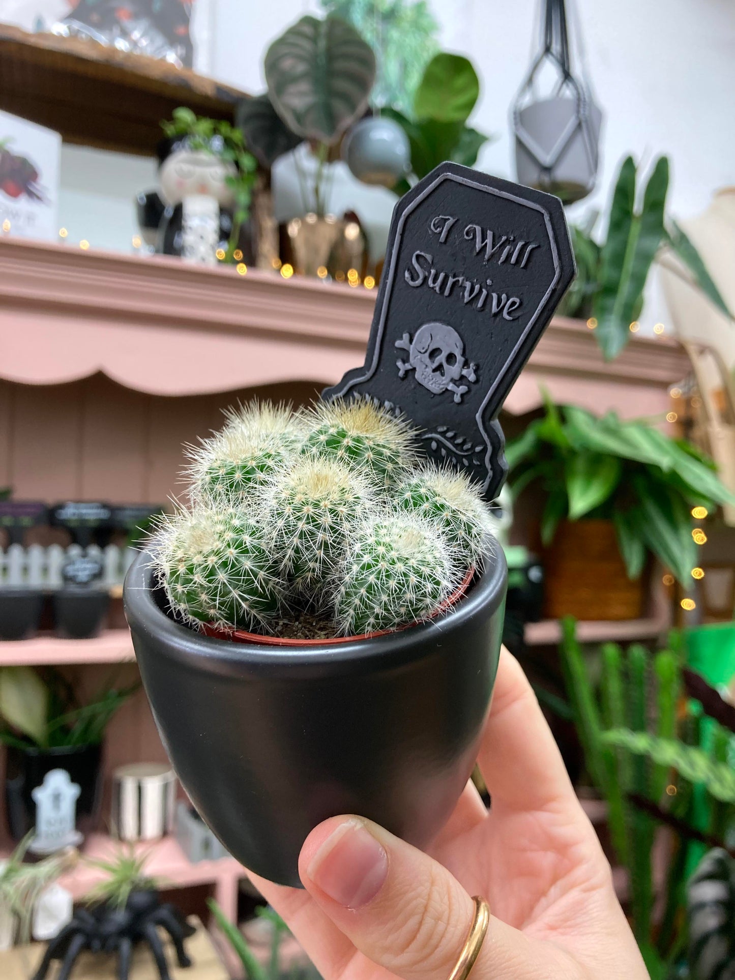 Tombstone Plant Markers