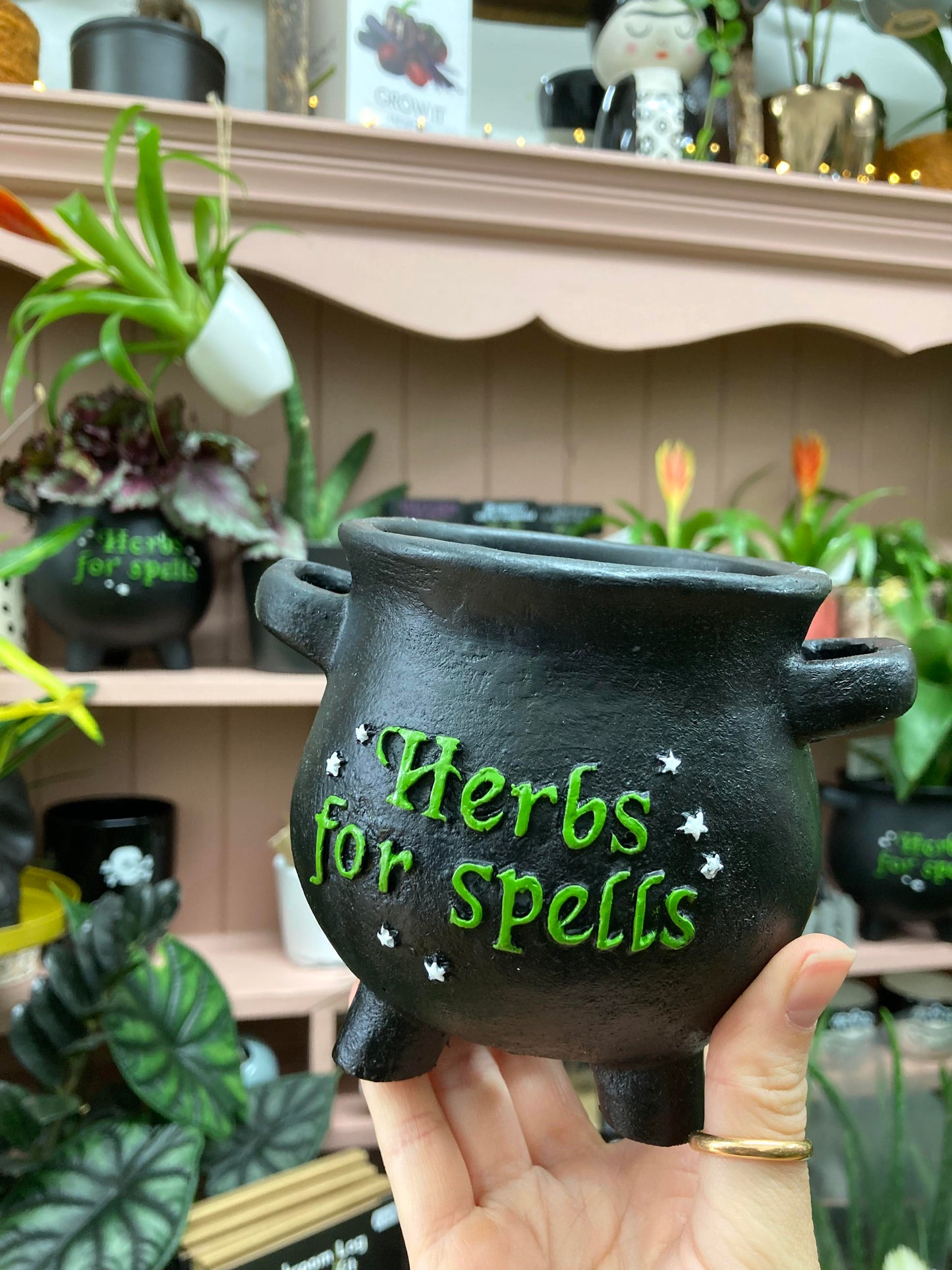 'Herbs For Spells' Cauldron Plant Pot