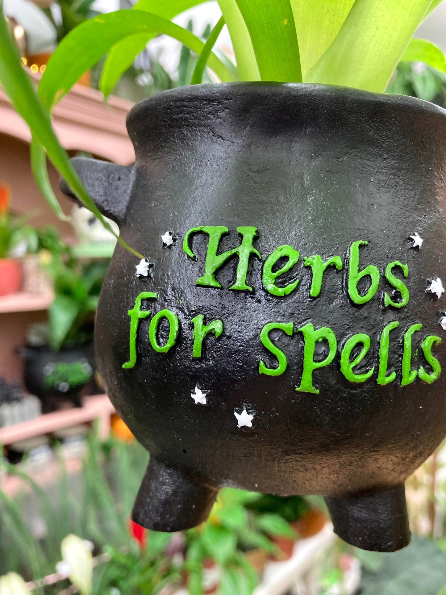 'Herbs For Spells' Cauldron Plant Pot