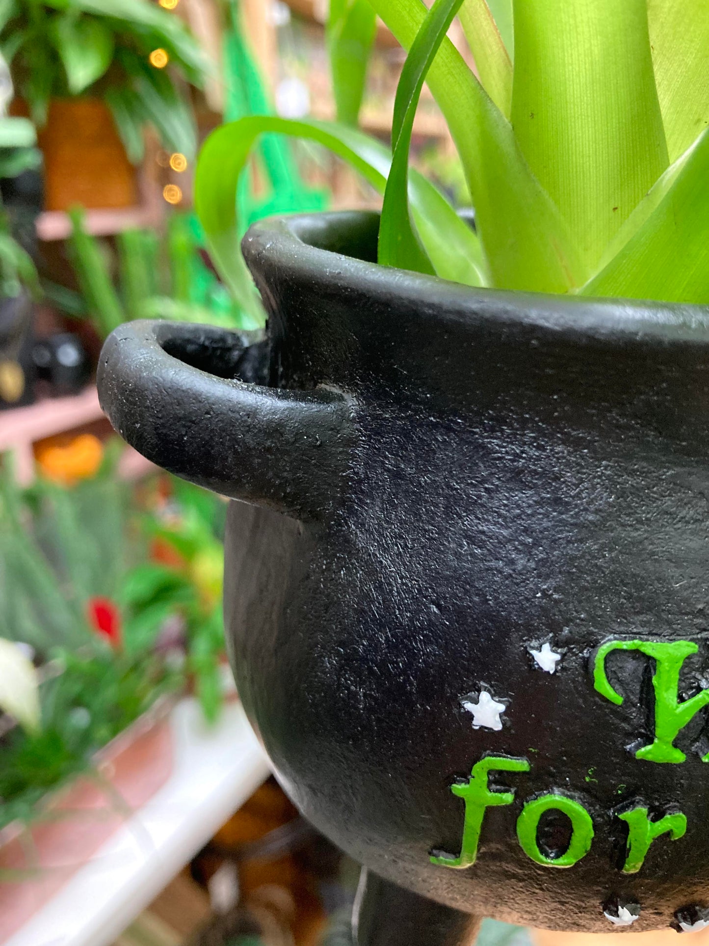 'Herbs For Spells' Cauldron Plant Pot