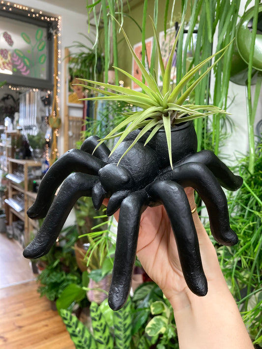 Spider Tealight Holder/Plant Pot Holder