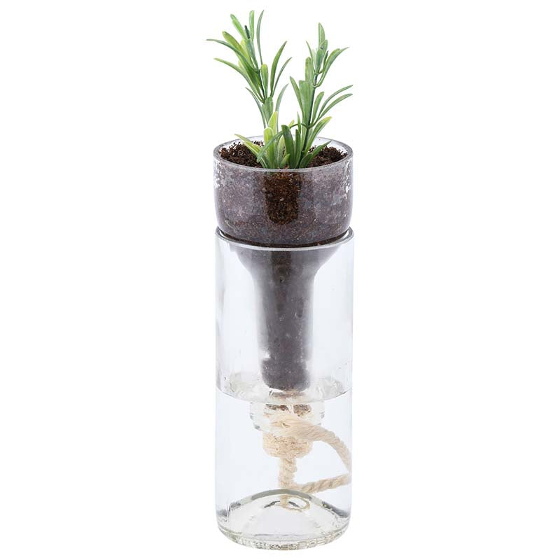 Self Watering Pot