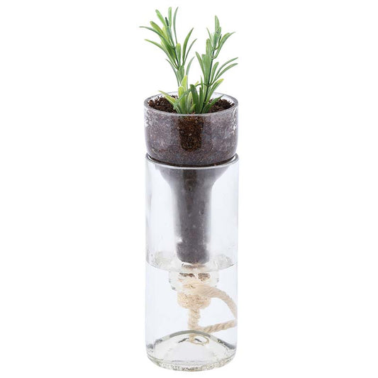 Self Watering Pot