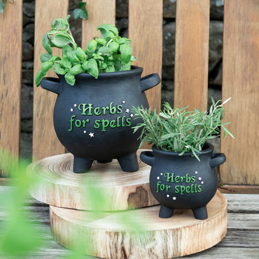 'Herbs For Spells' Cauldron Plant Pot