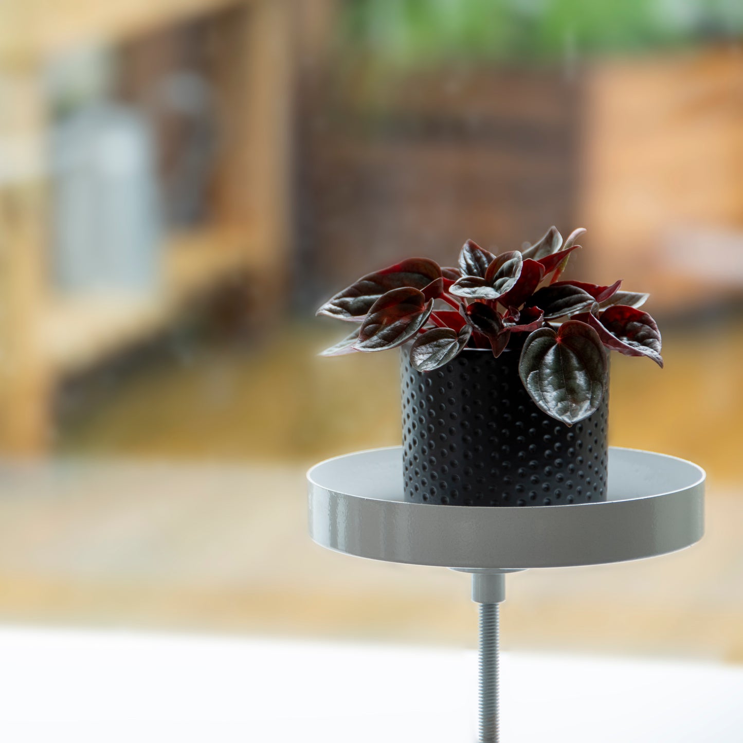 Window Sill Clamp Trays (Round)