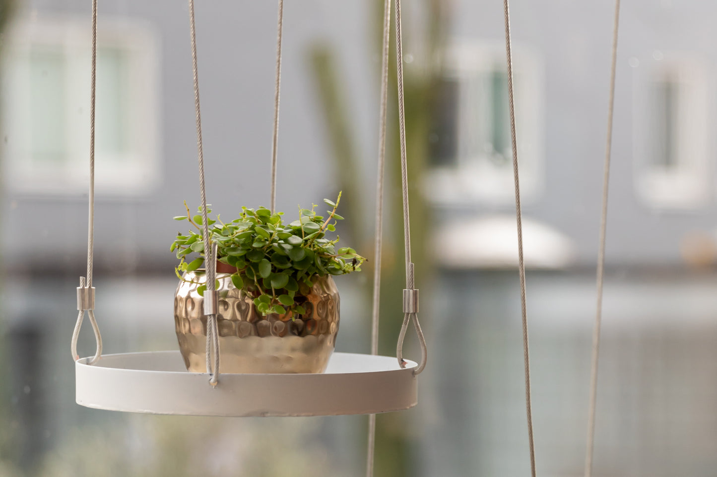 Hanging Plant Tray (Round)