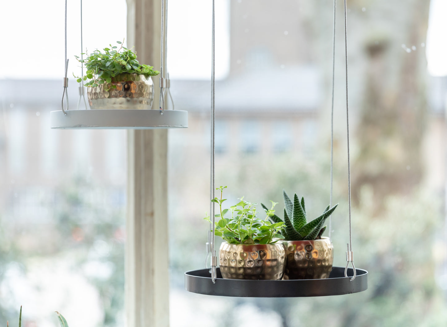 Hanging Plant Tray (Round)
