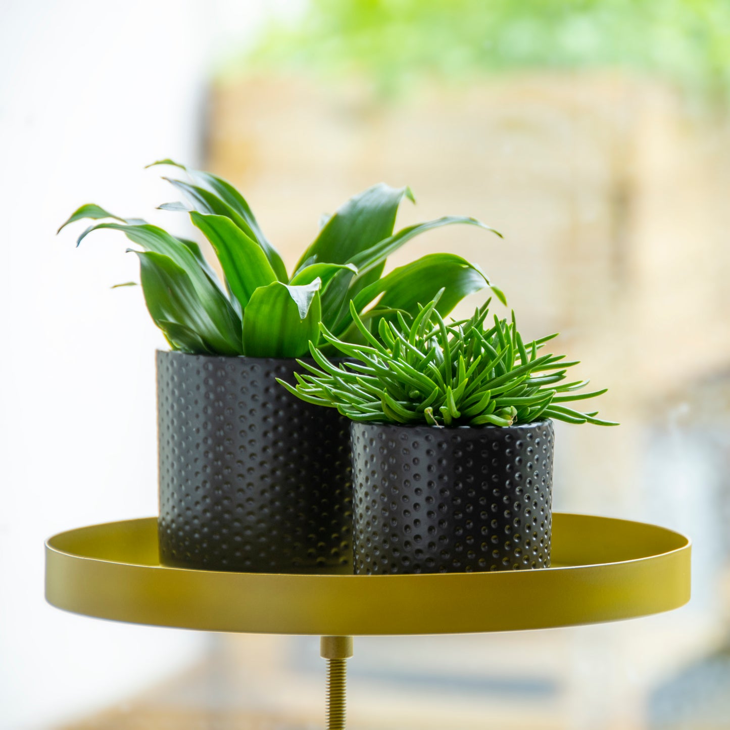 Window Sill Clamp Trays (Round)