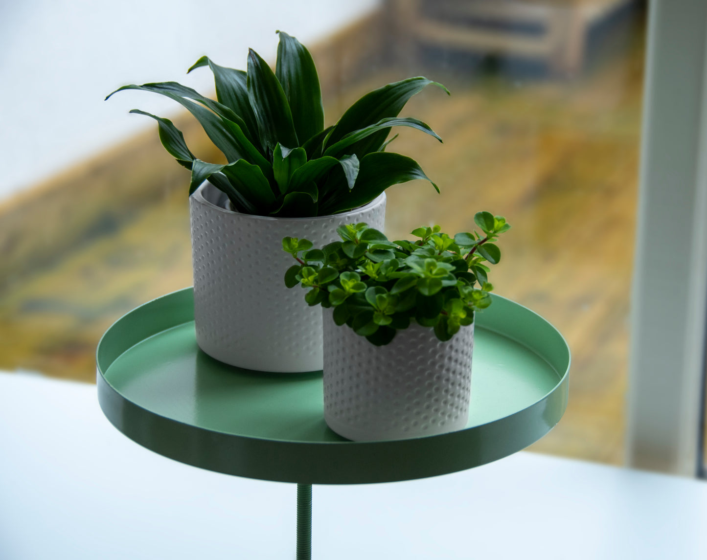 Window Sill Clamp Trays (Round)