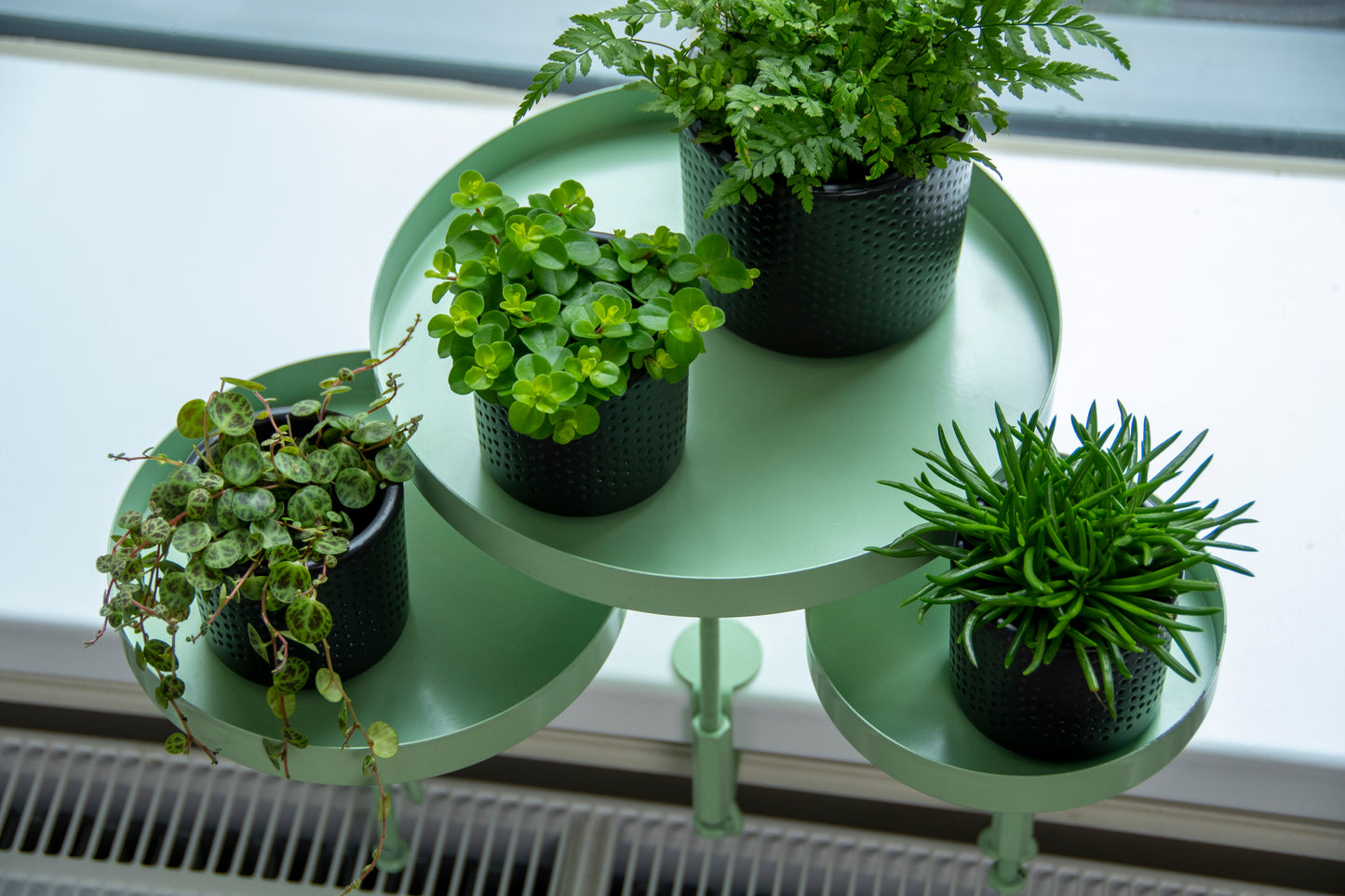 Window Sill Clamp Trays (Round)