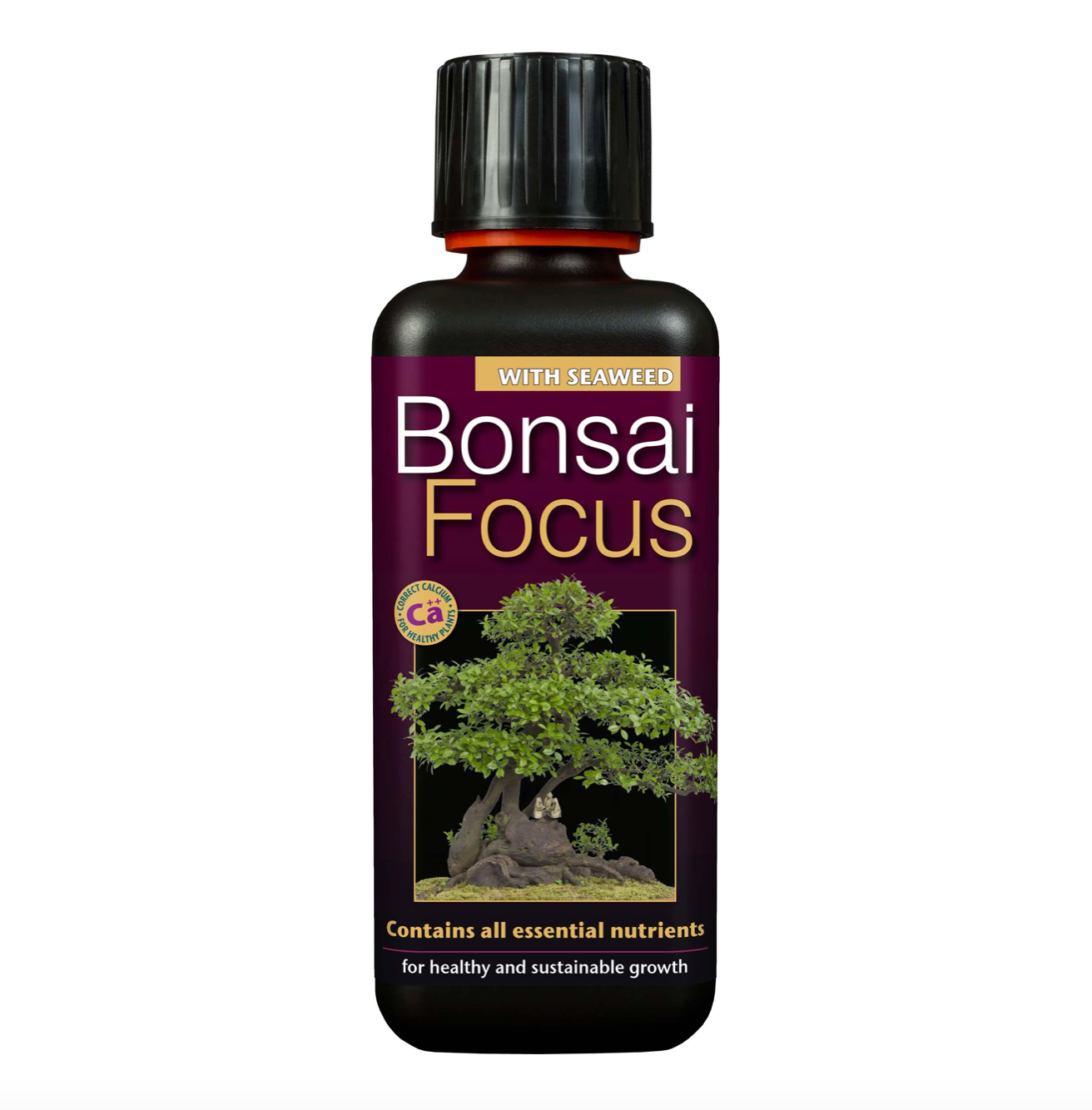 Bonsai Focus