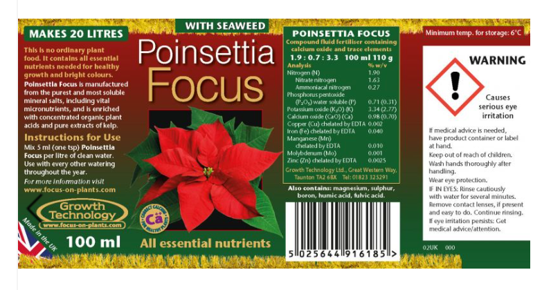 Poinsettia Focus