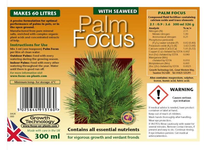 Palm Focus