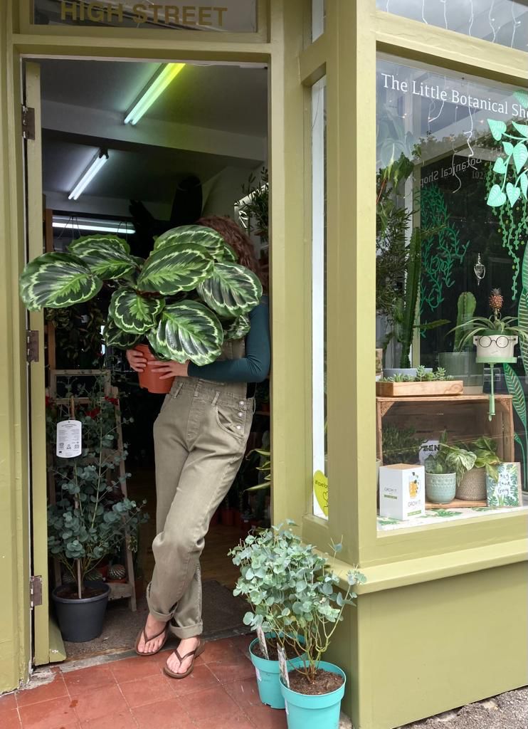 Plantlet E Gift Card