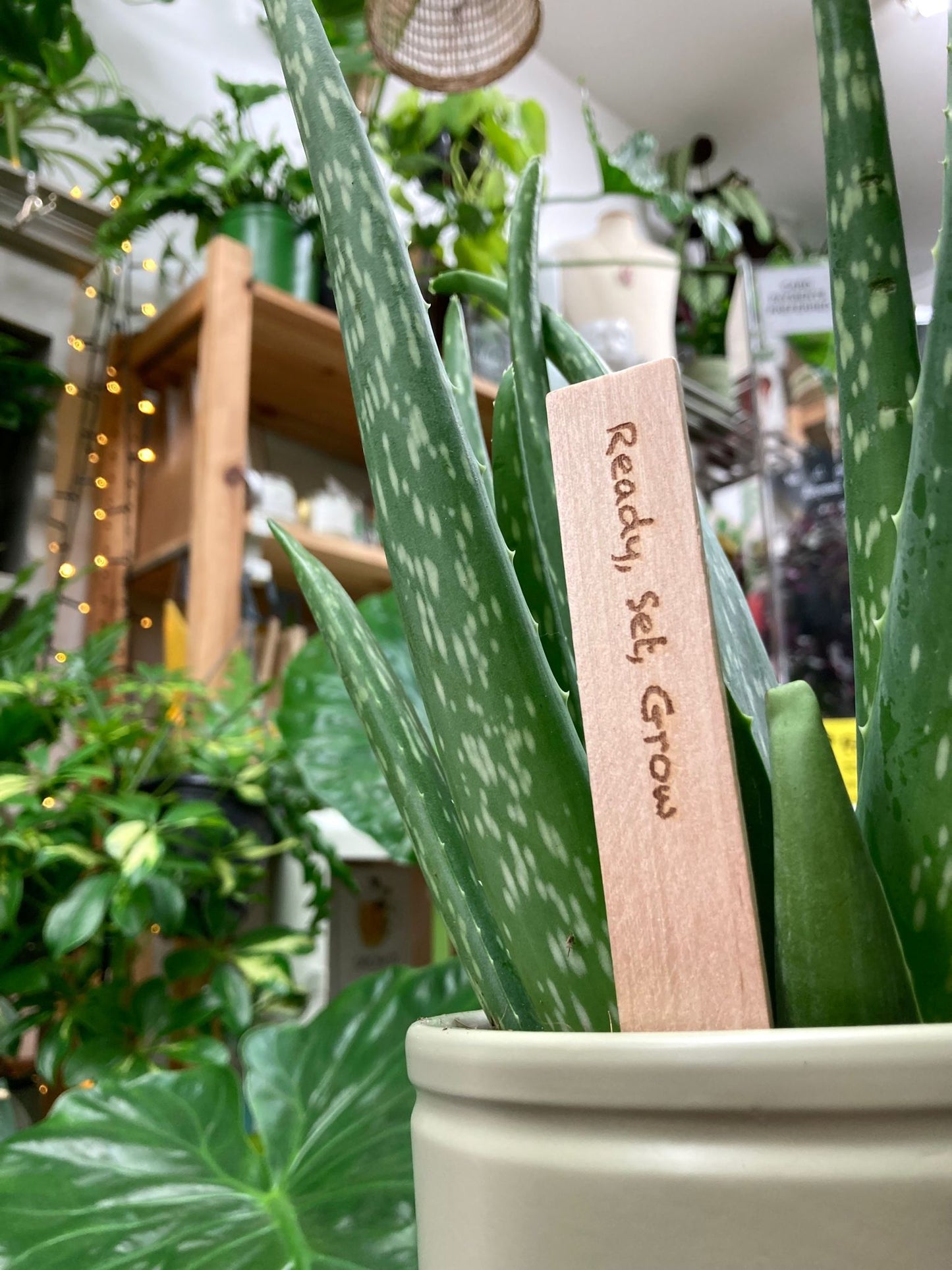 Plant Labels
