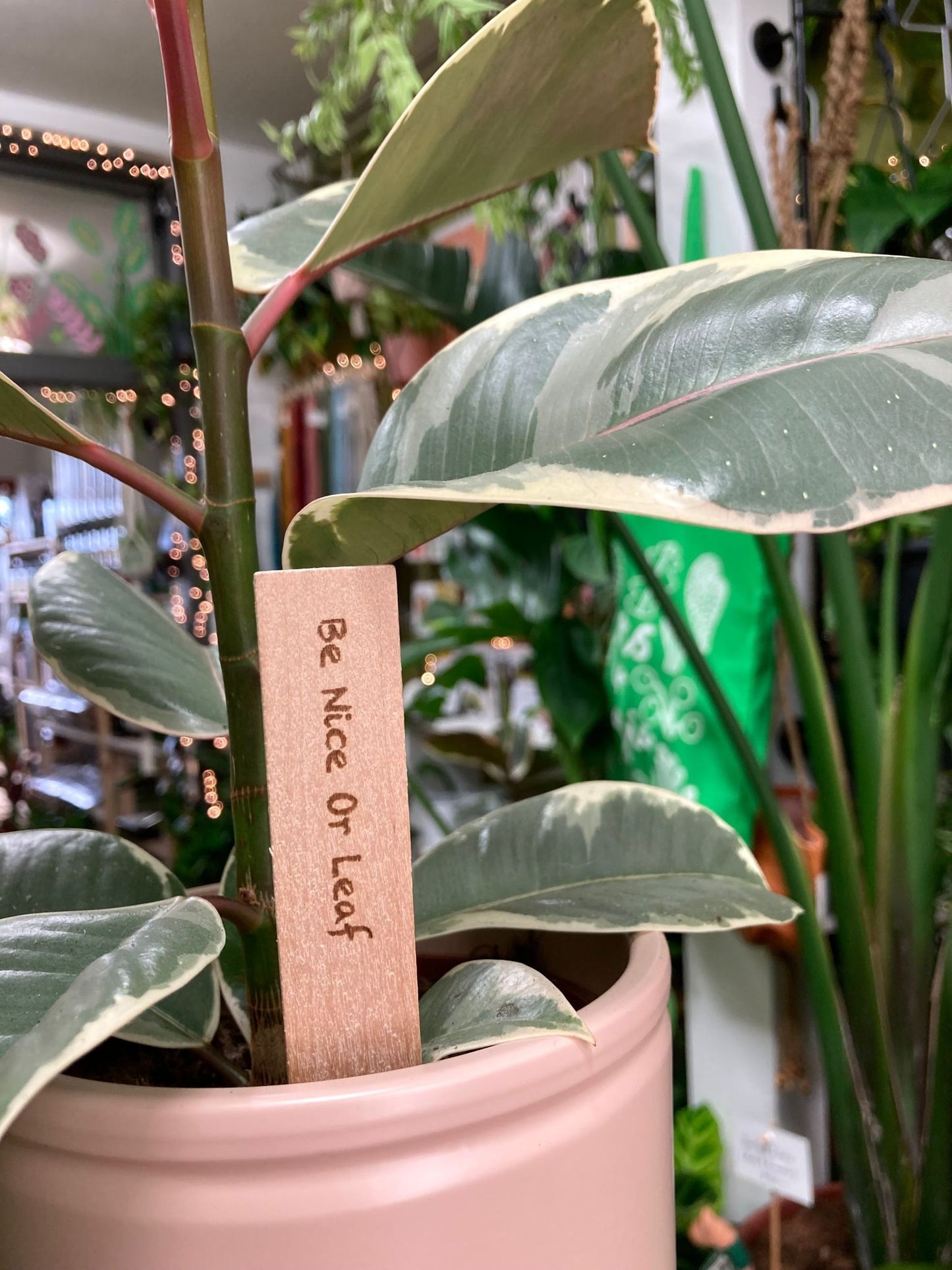 Plant Labels