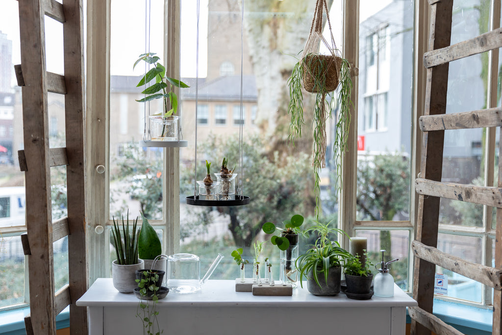 Hanging Plant Tray (Round)