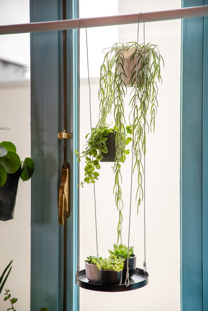 Hanging Plant Tray (Round)