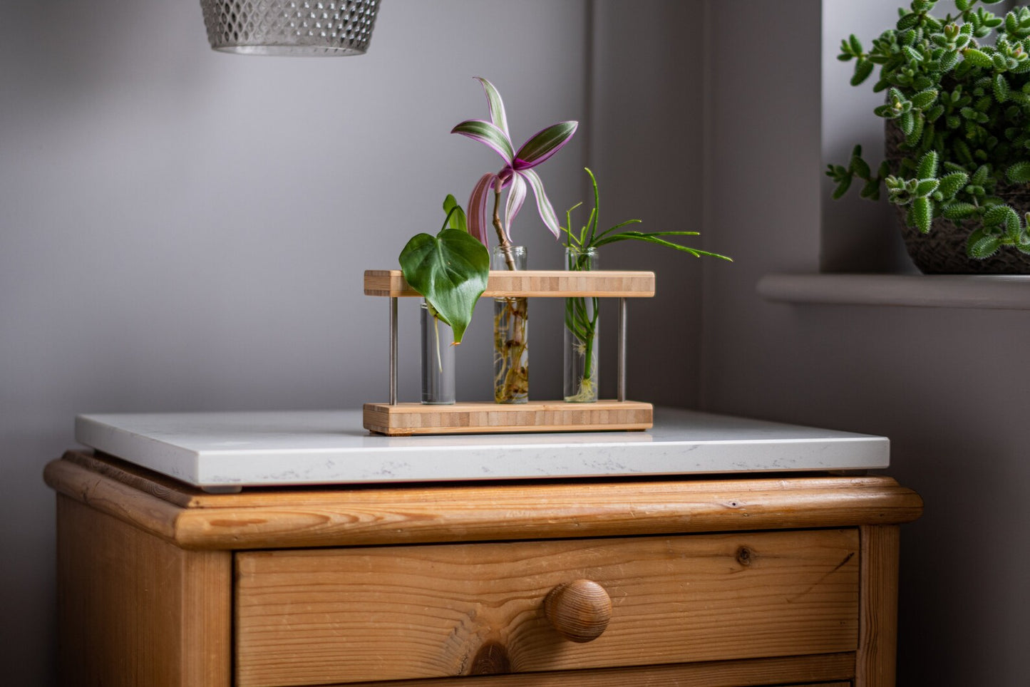 Bamboo Propagation Station