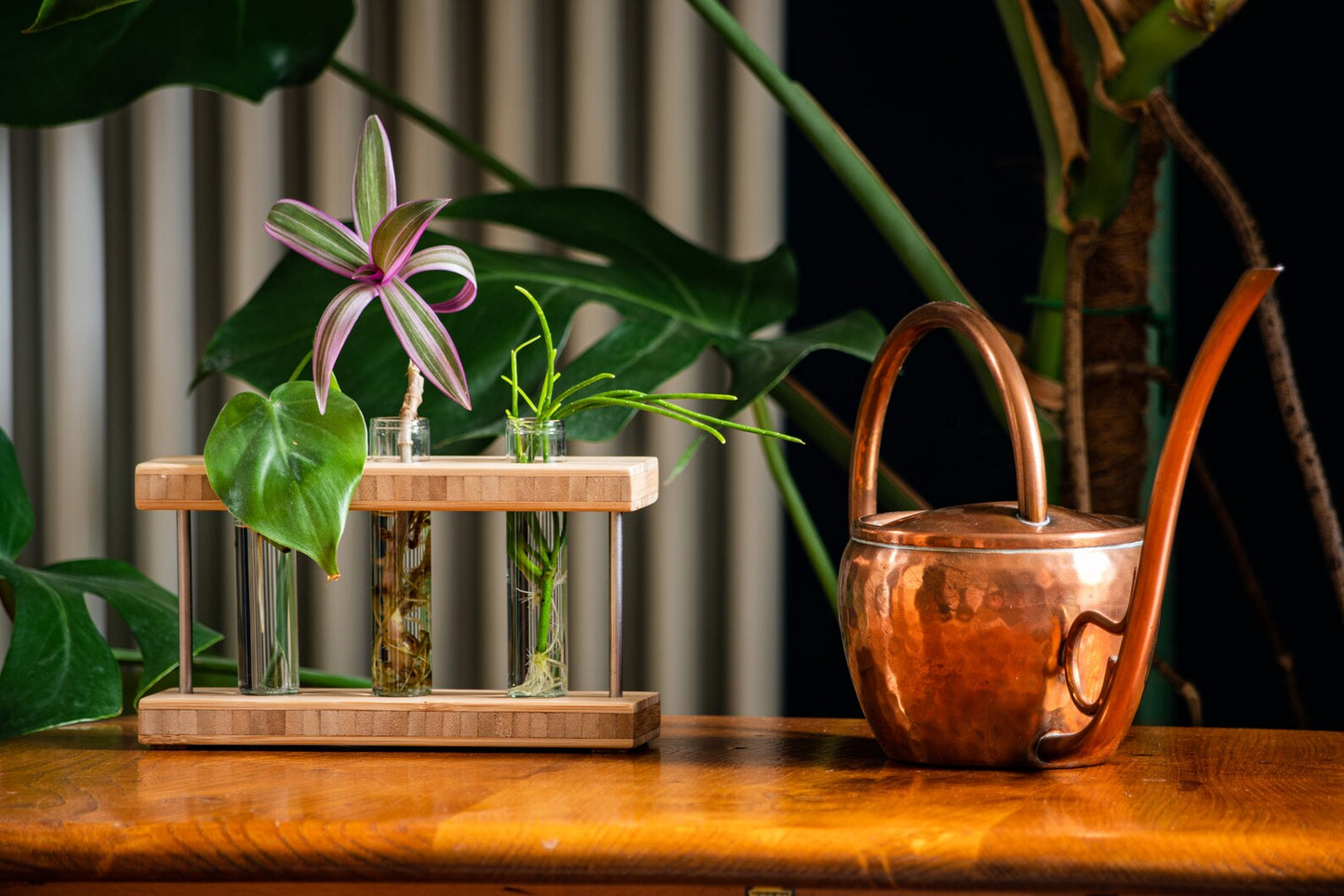 Bamboo Propagation Station