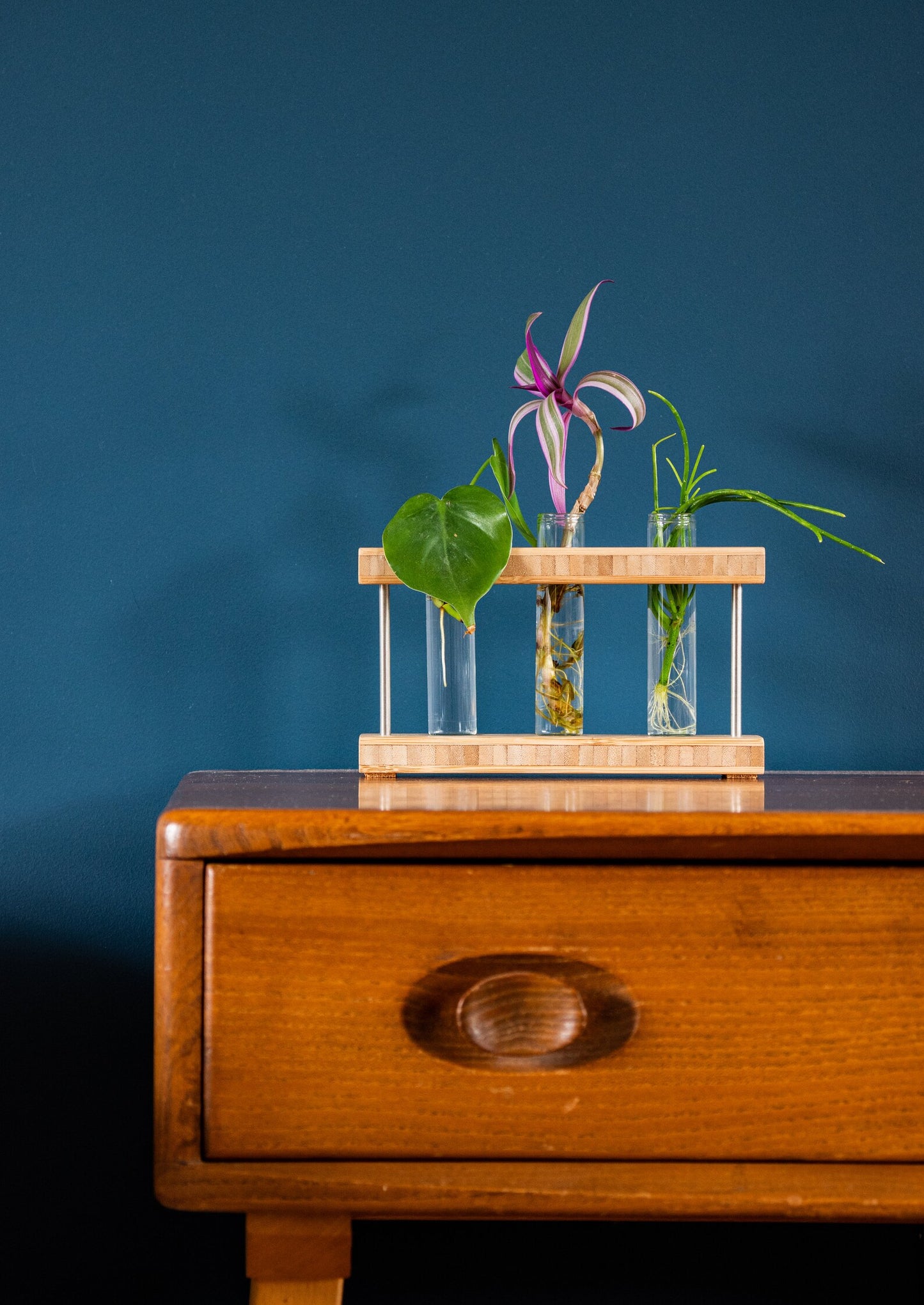 Bamboo Propagation Station