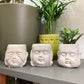 Set of 3 Mini Buddha Plant Pots