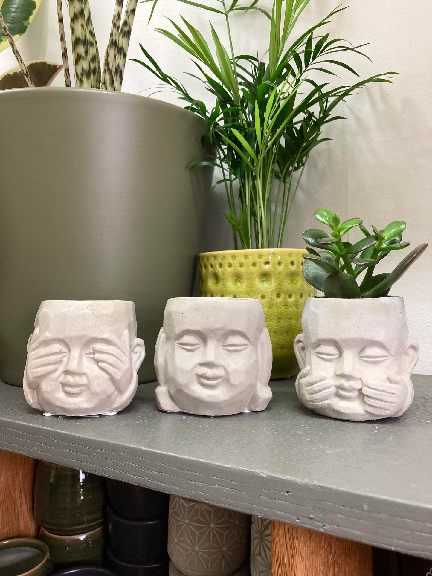 Set of 3 Mini Buddha Plant Pots