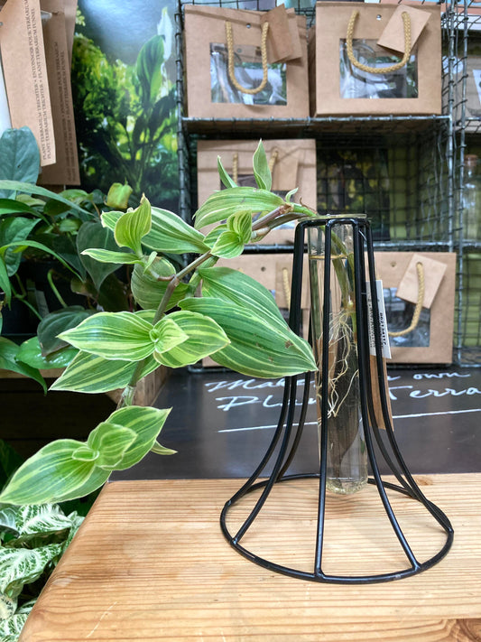 Tabletop Propagation Station