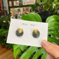 Green And Gold Monstera Studs