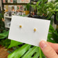 Green And Gold Monstera Studs