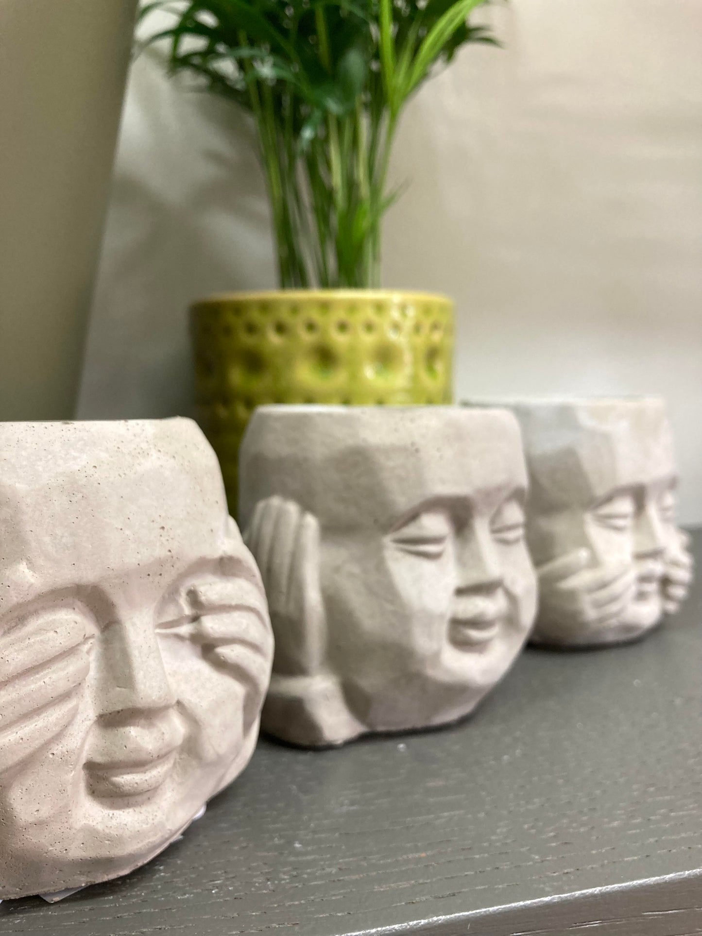 Set of 3 Mini Buddha Plant Pots