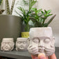 Set of 3 Mini Buddha Plant Pots