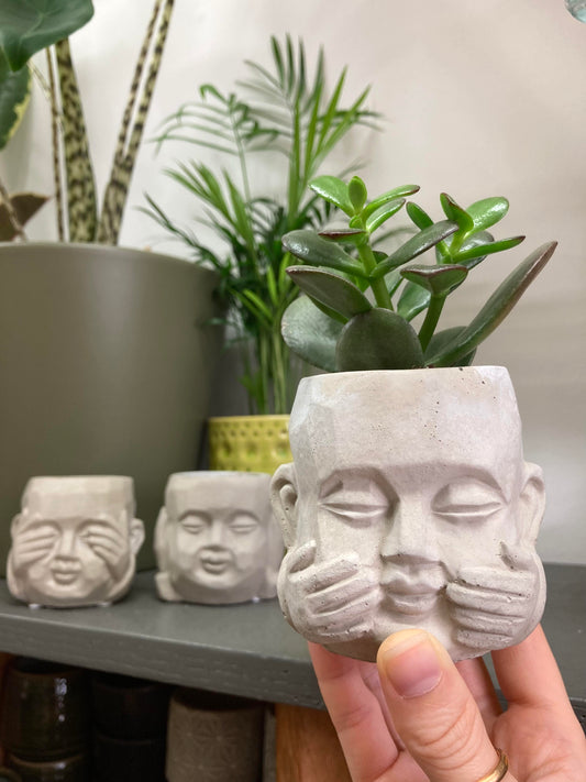 Set of 3 Mini Buddha Plant Pots