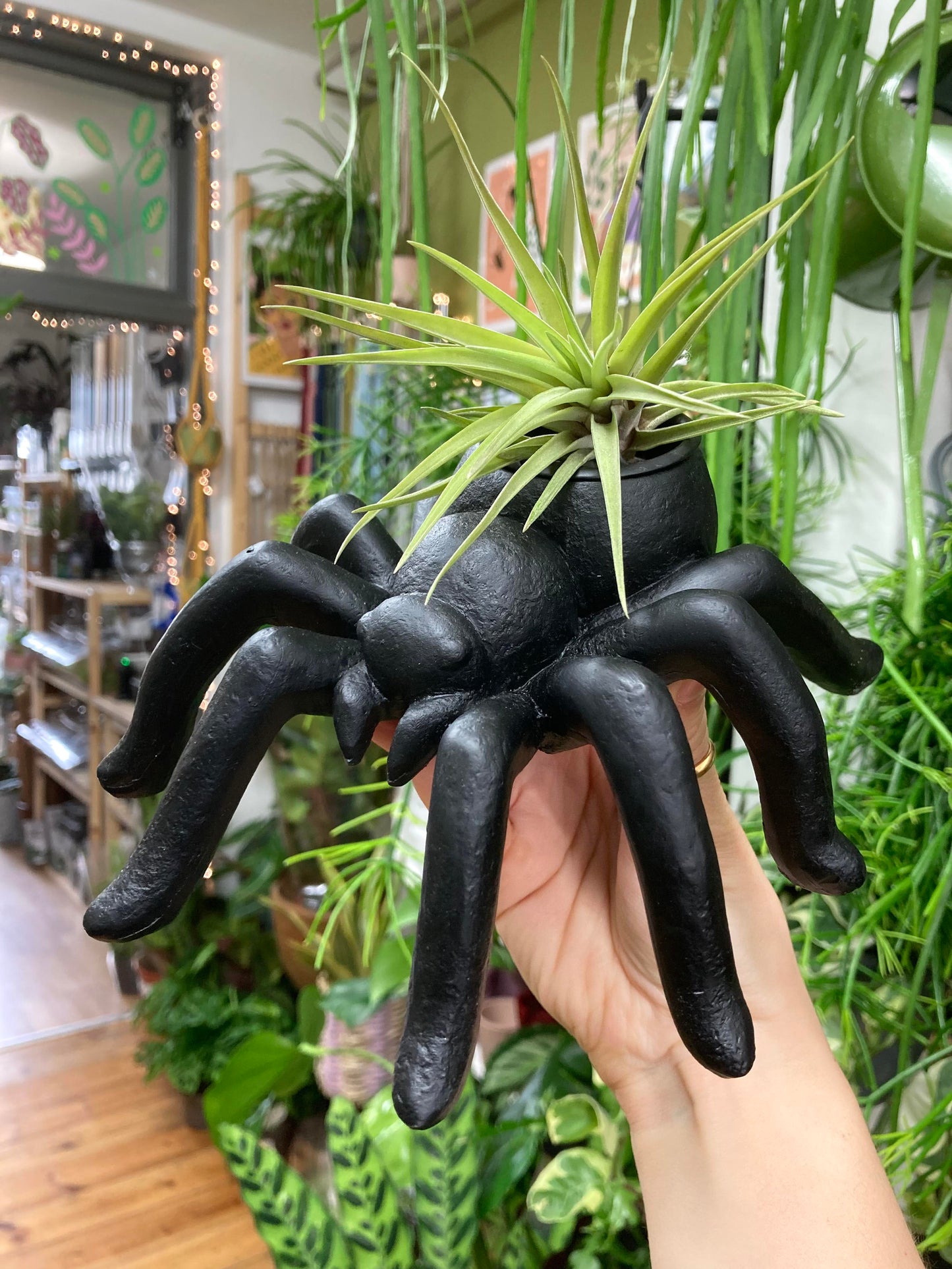 Spider Tealight Holder/Plant Pot Holder