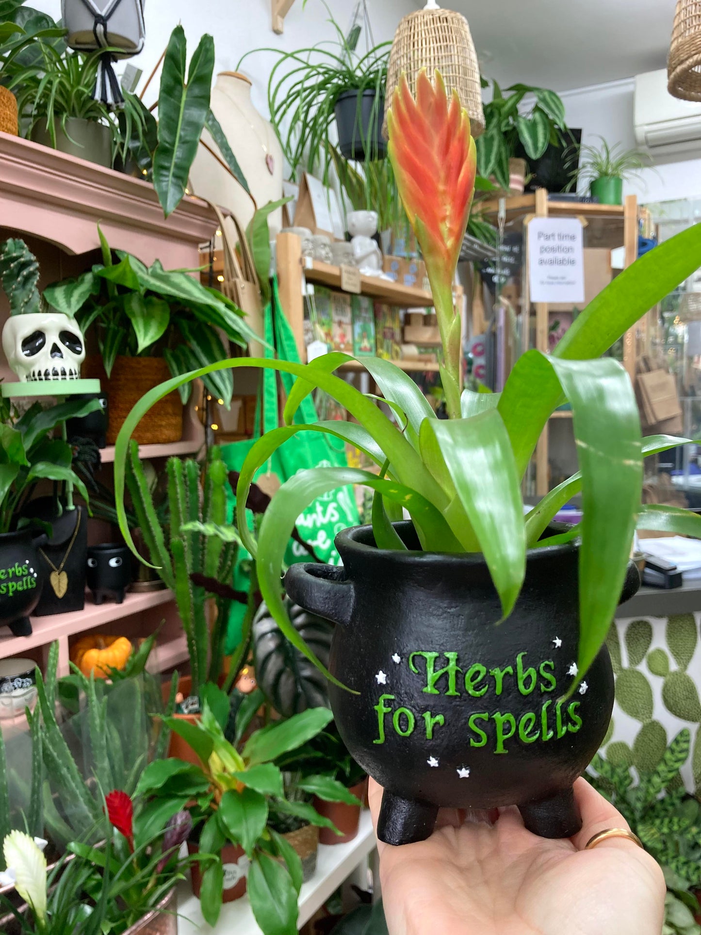'Herbs For Spells' Cauldron Plant Pot