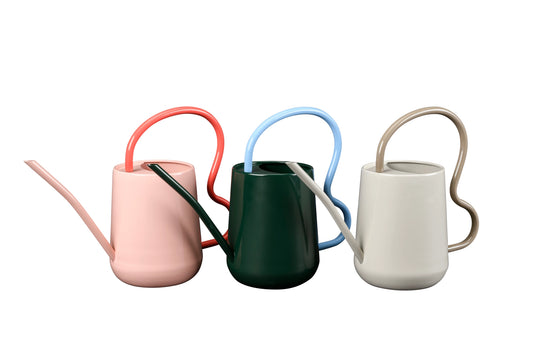 Collector Scalloped Indoor Watering Can