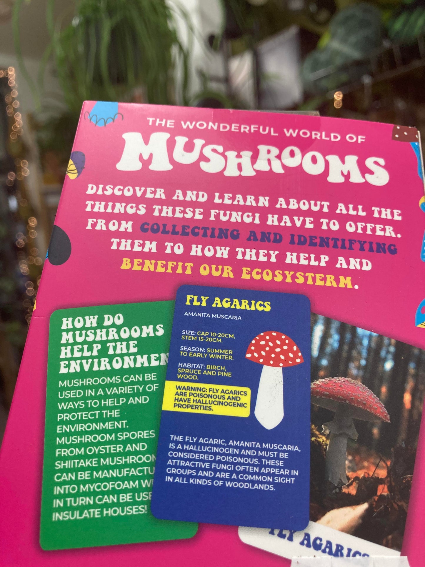 'The Wonderful World Of Mushrooms' Cards