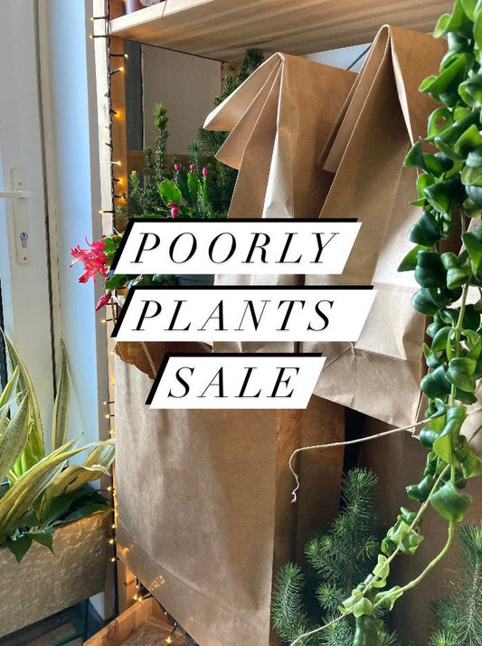 'Poorly Plants' Sale