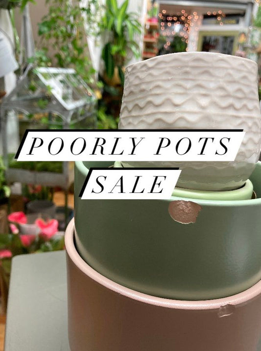 'Poorly Pots' Sale