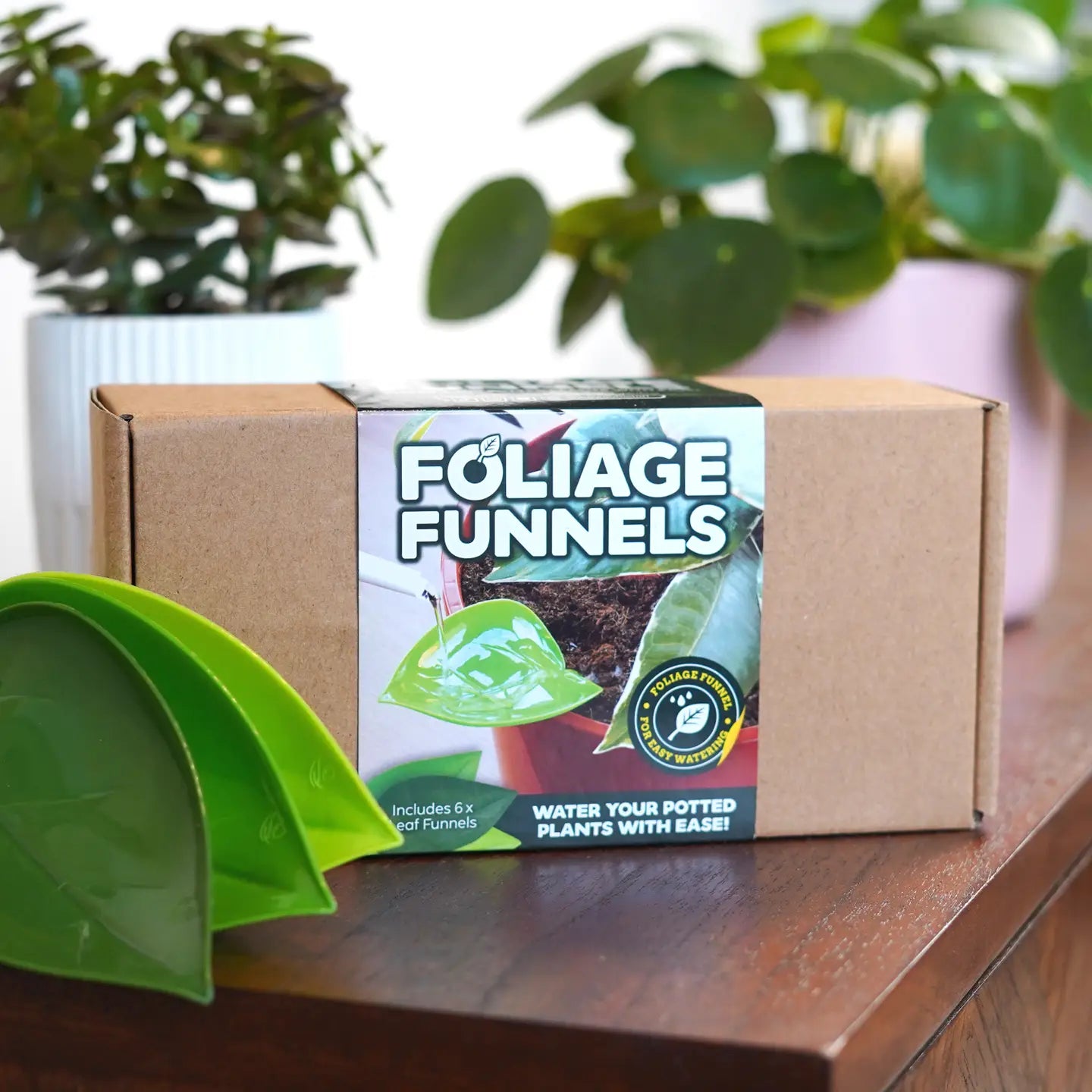 Foliage Funnels