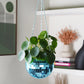 Disco Ball Hanging Planters