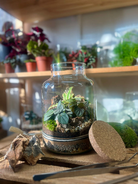 Terrarium Workshop