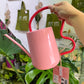 Collector Scalloped Indoor Watering Can - Blush