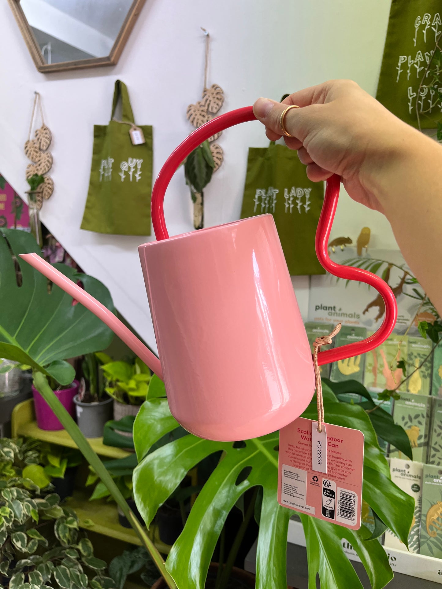 Collector Scalloped Indoor Watering Can - Blush