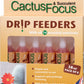 Cactus and Succulent Drip Feeders (Pack of 6)