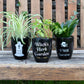 'I will survive' Plant Pot
